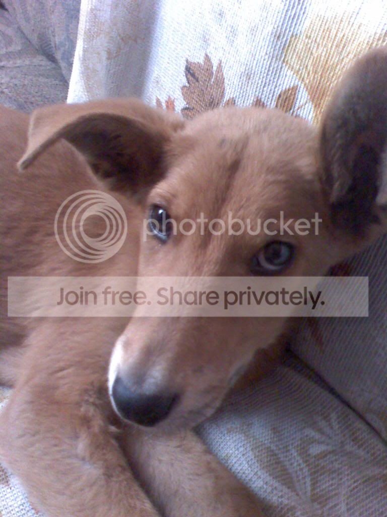 Guli.jpg image by a_data